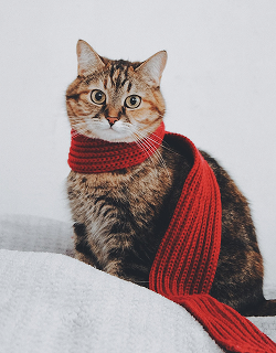 Portrait — photograph by Capturr Studio